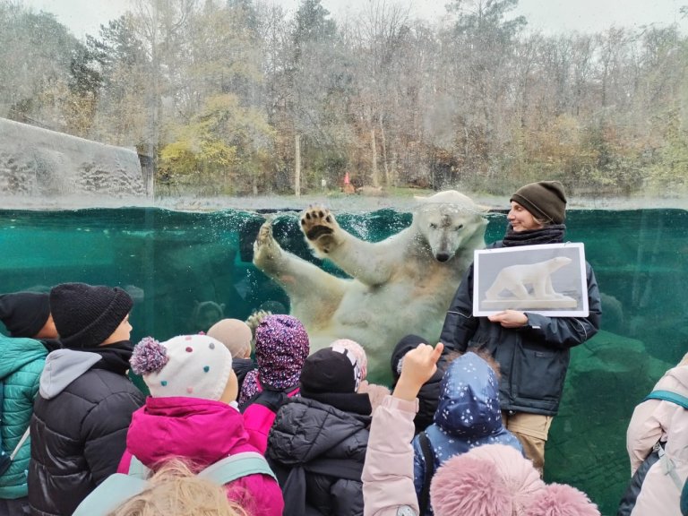 Formation au Zoo de Mulhouse
