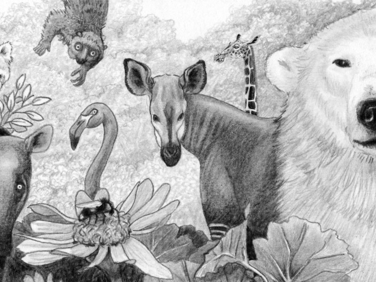 La bande a mowgli dessin